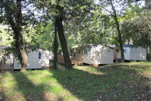 Camping La Pinède en Provence - Mobilheime unter Bäumen auf dem Campingplatz