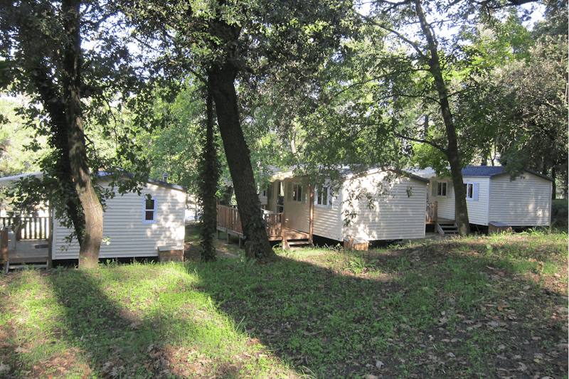 Camping La Pinède en Provence  -  Mobilheime unter Bäumen auf dem Campingplatz