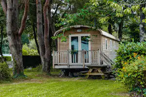 Holz-Blockhütte mit Terrasse und Stufen im Grünen, umgeben von Bäumen und Sträuchern im Campingbereich.