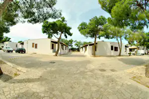 Camping La Pineta - Mobilheime vom Campingplatz zwischen Bäumen