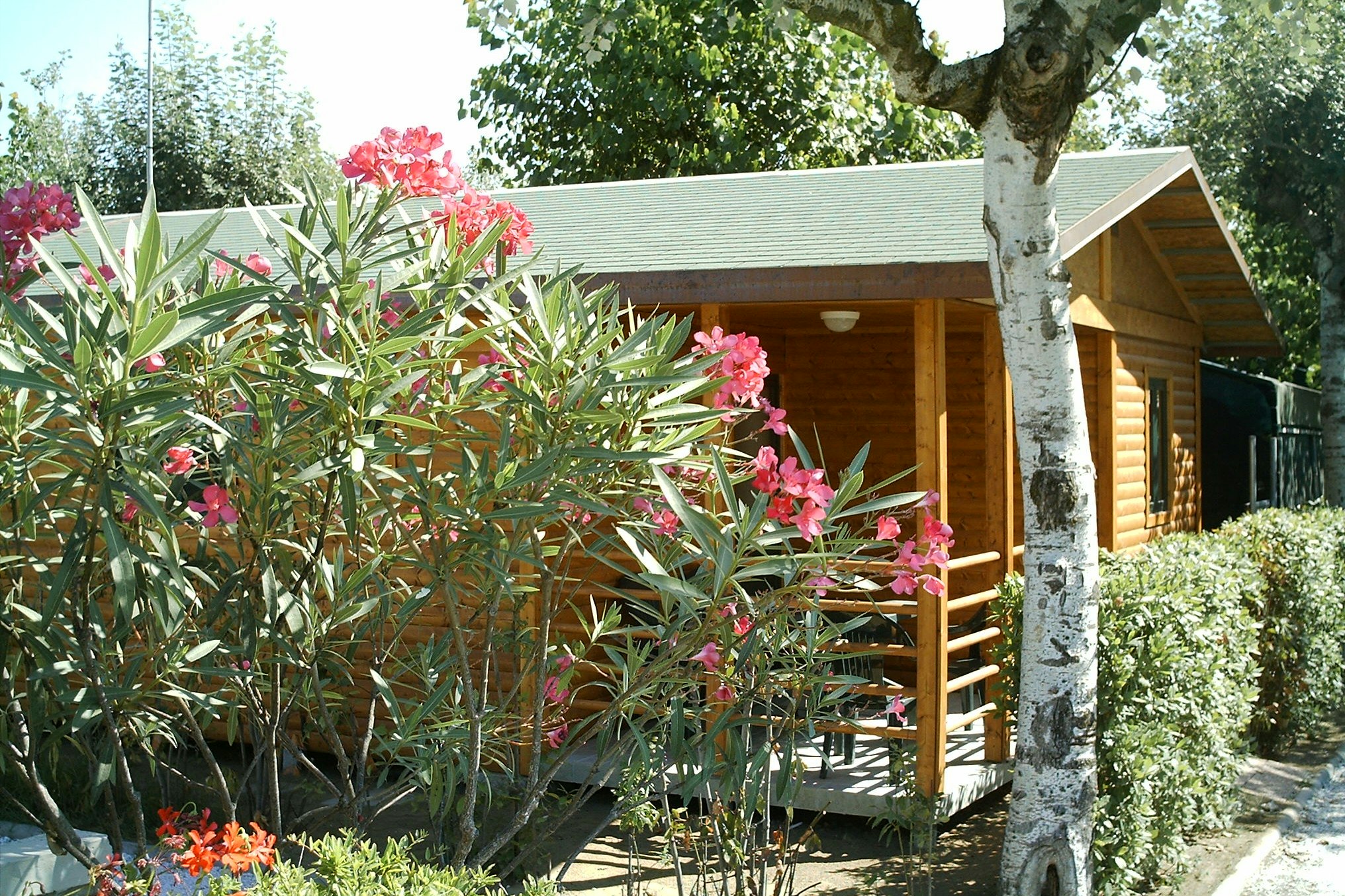 Camping La Pineta  -  Mobilheim vom Campingplatz mit Veranda im Grünen