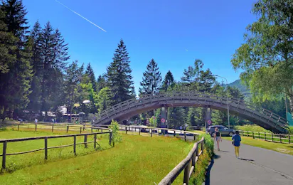 Camping La Pineta