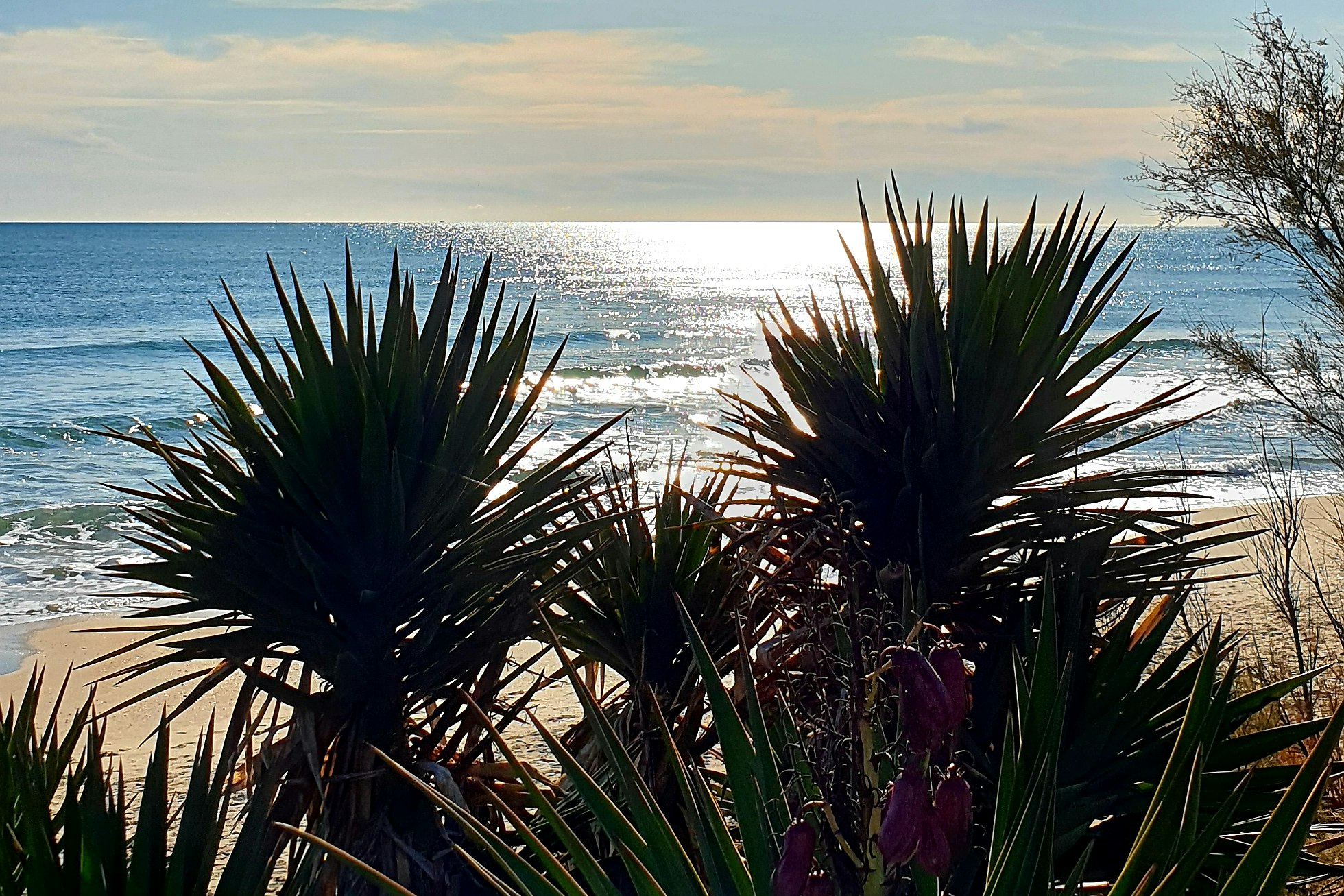 Camping La Plage - Blick auf den Strand am Campingplatz