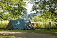 Camping La Plage - Zeltplätze im Schatten