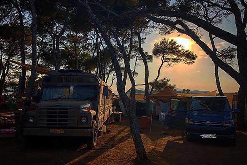 Camping La Playa Ibiza  -  Stellplatz vom Campingplatz zwischen Bäumen