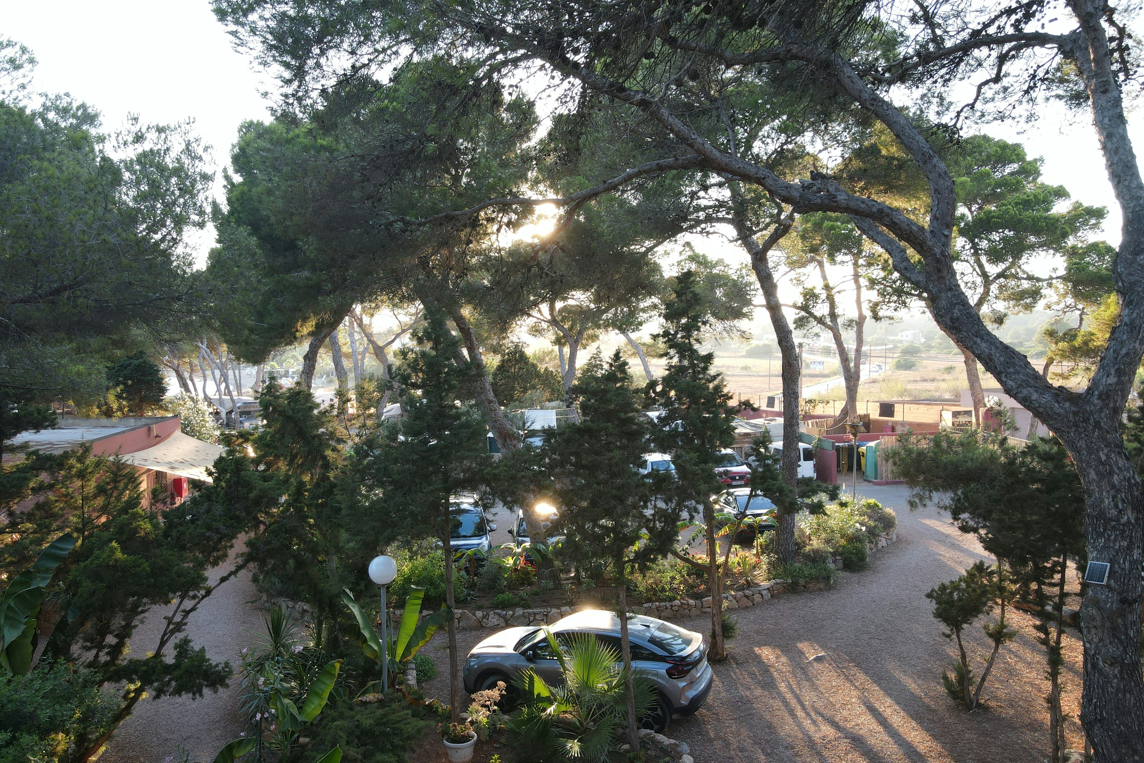 Camping La Playa Ibiza - Standplätze auf dem Campingplatz
