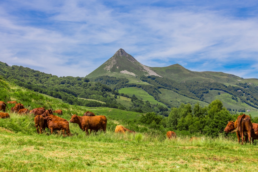 Camping La Pommeraie