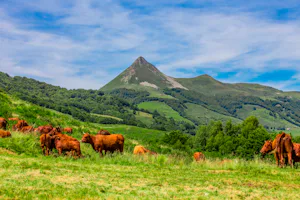 Camping La Pommeraie