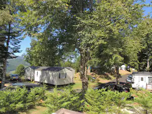 Wohnwagen und Mobilheim auf einem Campingplatz im Grünen, mit Bäumen, Rasenfläche und geparkten Autos am Weg.