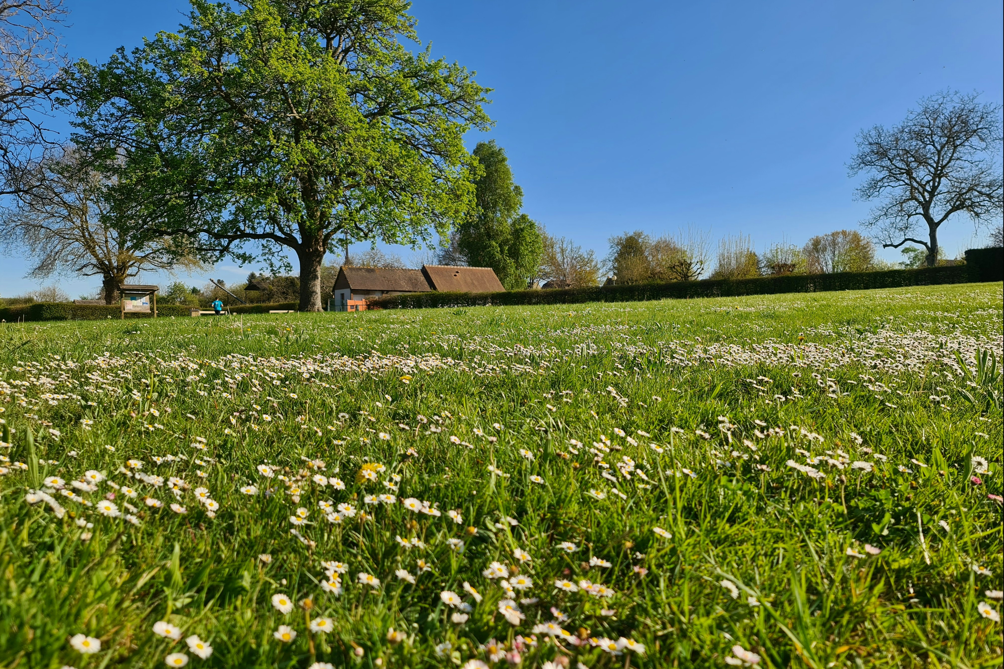 Camping La Potinière - Blick auf die Wiese