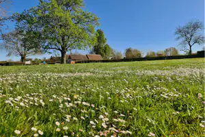 Camping La Potinière - Blick auf die Wiese