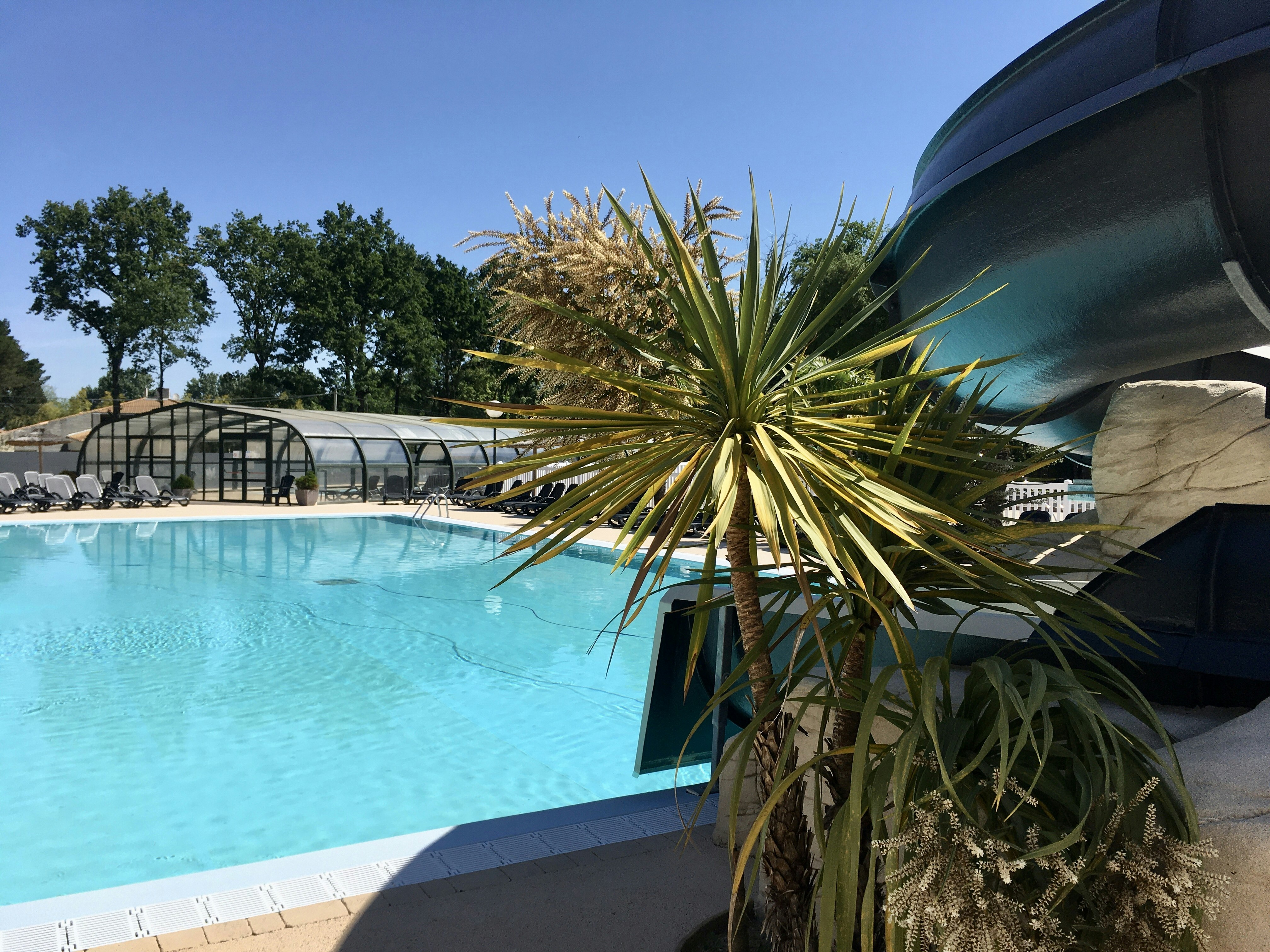 Camping-Pool mit türkisfarbenem Wasser, Palmen im Vordergrund und Zeltüberdachung am Beckenrand.