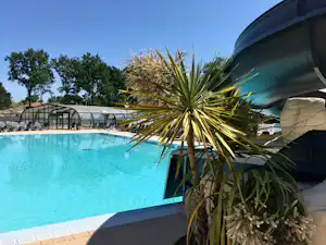 Camping-Pool mit türkisfarbenem Wasser, Palmen im Vordergrund und Zeltüberdachung am Beckenrand.