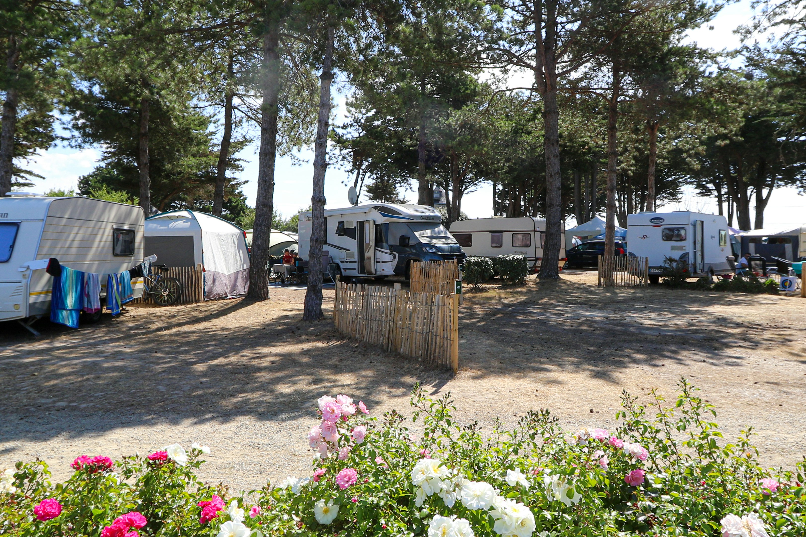 Camping la Renaudière - Standplätze auf dem Campingplatz