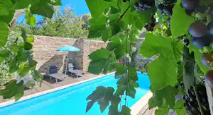 Blauer Pool auf einer Holzterrasse, umrahmt von Steinmauer und Weinreben, mit zwei Liegen und Sonnenschirmen.