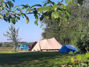Campingzelte auf grünem Rasen, im Hintergrund Bäume und ein weiterer Zeltbereich mit Stühlen und Tisch.
