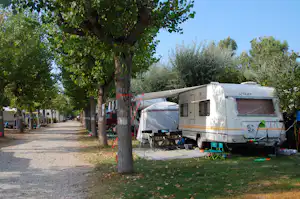 Camping La Risacca - Allee mit Bäumen zwischen den Stellplätzen