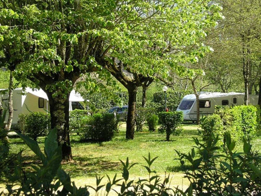 Wohnmobil auf einem Campingplatz im Grünen, mit Zeltzelten und Bäumen im Garten.