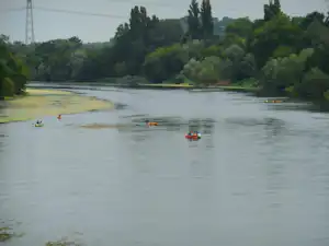 Breiter Fluss mit mehreren Kanus und Paddlern, im Hintergrund Bäume und ein Strommast am Ufer.