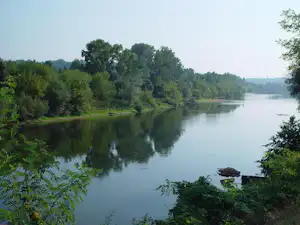 Ruhiger Fluss mit Spiegelung im Wasser, dichtes Grün am Ufer und Bäume in der Ferne.