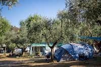Camping La Rocca -  Stellplätze im Schatten der Bäume 