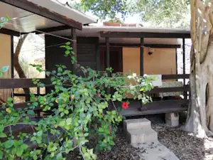 Terrasse am Campingplatz mit Holzbänken, Sichtschutz und vielen grünen Pflanzen vor einer Wand und einem kleinen Weg.