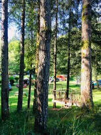 Camping La Roche Canillac