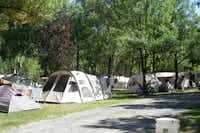Camping La Rochette - Zeltwiese von Bäumen umgeben