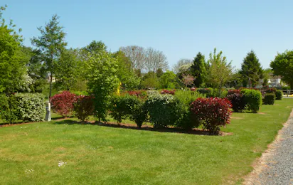 Camping La Roseraie d'Omaha