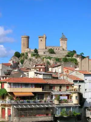 Altstadt mit Häusern und roten Dächern, im Hintergrund eine Burg mit Türmen und Zinnen.