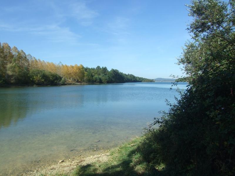 Ruhiger See mit grünem Ufer und klarem Wasser, umgeben von Bäumen und Sträuchern am Rand.