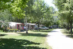 Camping La Roucateille - Wohnwagen- und Zeltstellplatz zwischen Bäumen auf dem Campingplatz