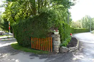 Dichte Hecke am Campingplatz mit Holzlattenzaun, Steinmauer und Kiesbeet entlang eines gepflasterten Wegs.