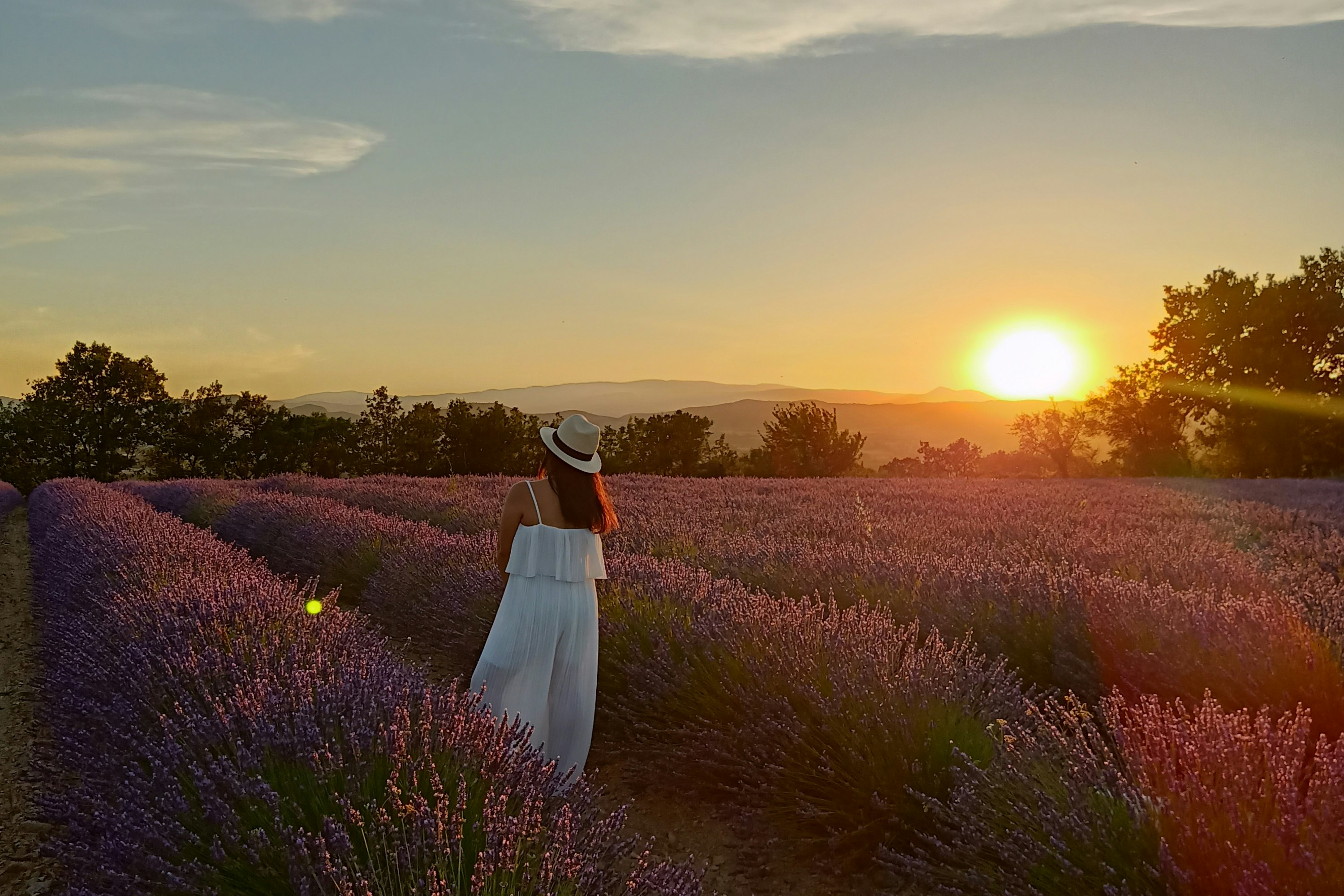 Camping La Rouvière les Pins - Sonnenuntergang über dem Lavendelfeld
