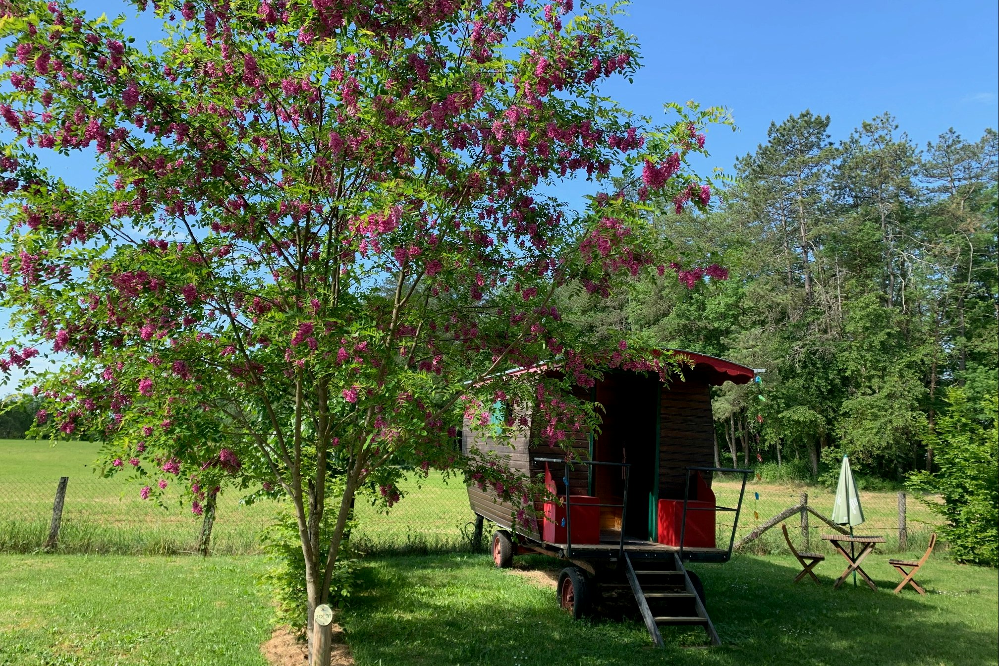 Camping La Saline - Mietcaravan auf dem Campingplatz