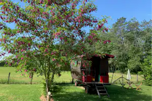 Camping La Saline - Mietcaravan auf dem Campingplatz