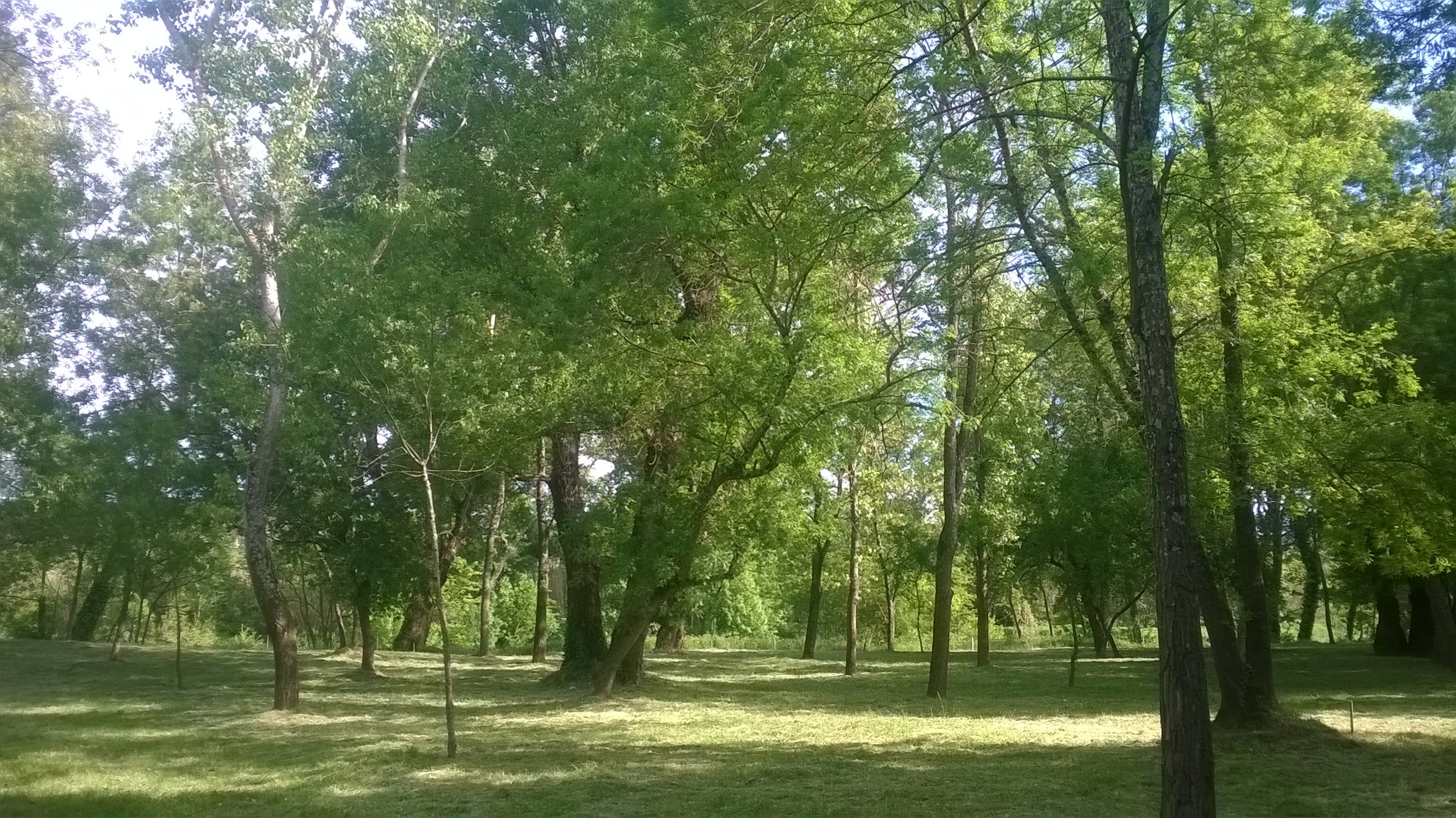 Camping La Saraillère