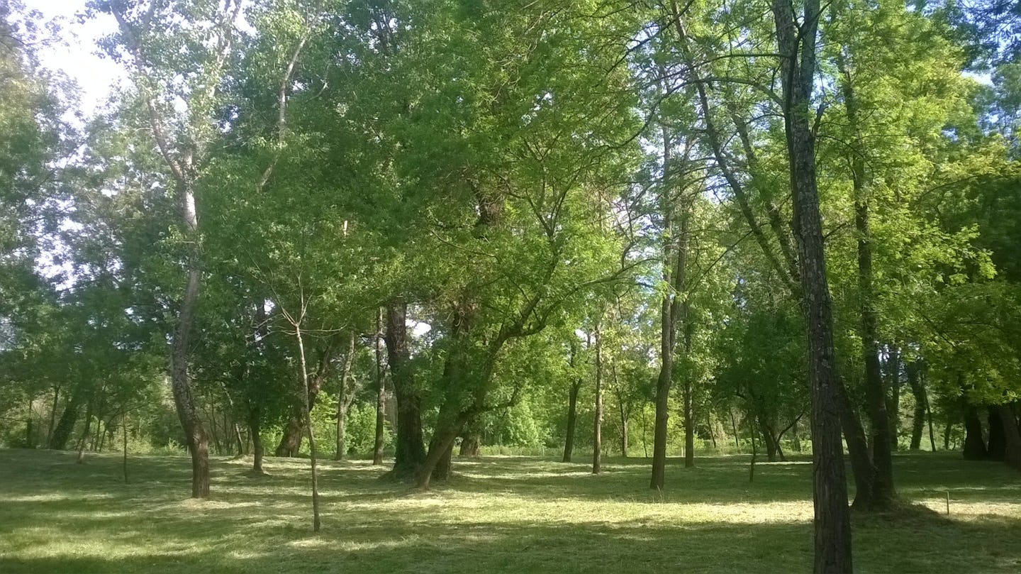 Camping La Saraillère