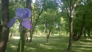 Camping La Saraillère