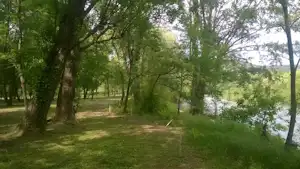Waldweg am Campingplatz mit Bäumen und Gras am Ufer, im Hintergrund schimmert ein See durch das Grün.