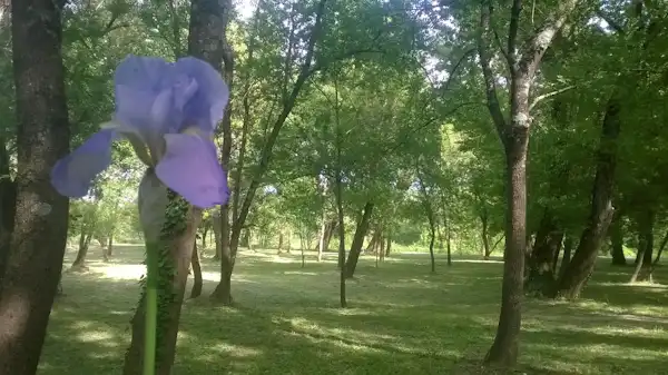 Camping La Saraillère