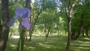 Camping La Saraillère