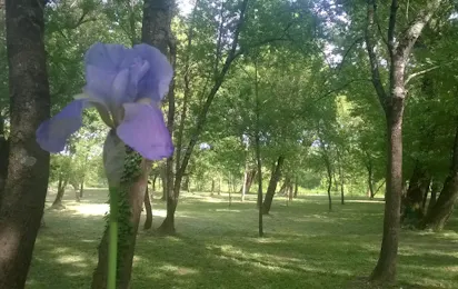 Camping La Saraillère