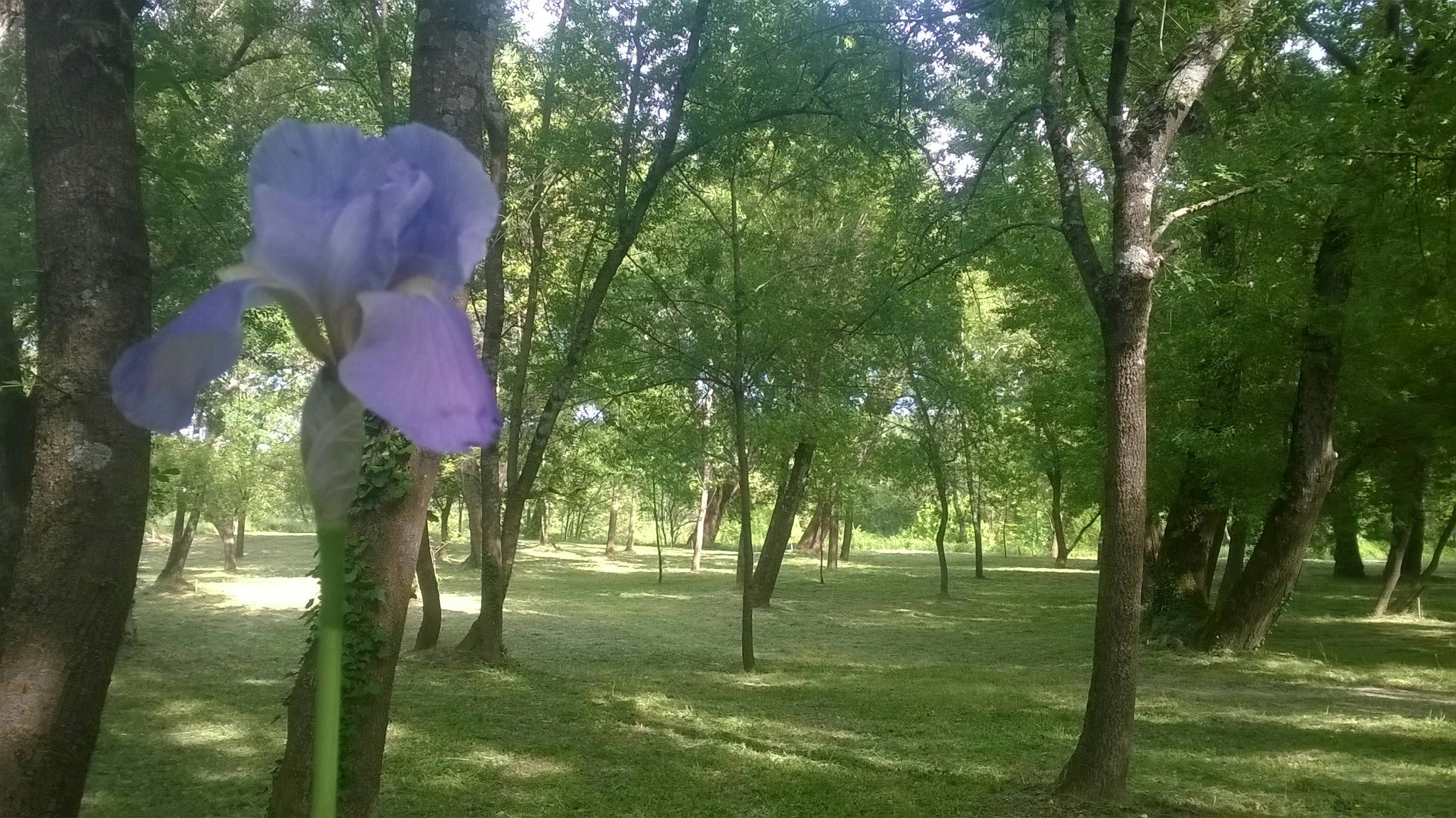 Camping La Saraillère