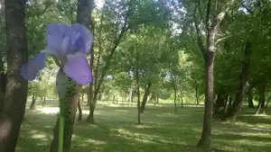 Camping La Saraillère