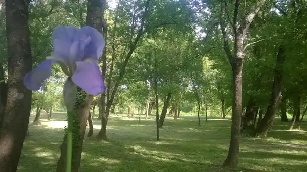 Camping La Saraillère