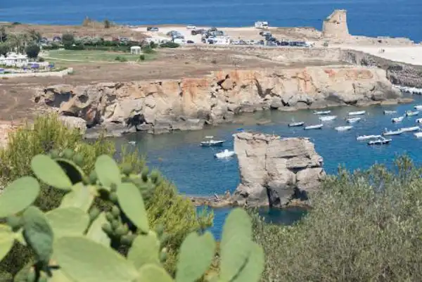 Camping La Scogliera