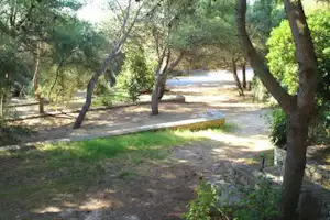 46396953.jpg