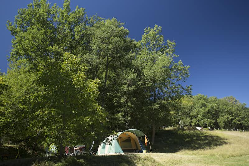 Camping La Serre - Zelt unter einem großen Baum