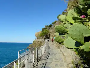 Küstenweg am Meer mit Geländer, Blick auf das Wasser und Kakteen am Wegesrand.